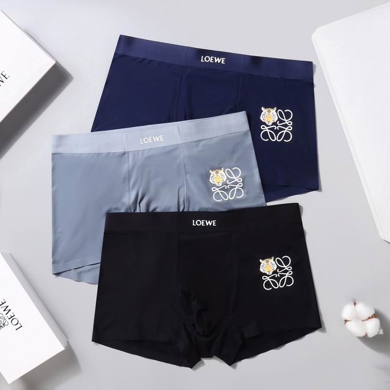 Loewe boxer L-3XL 02